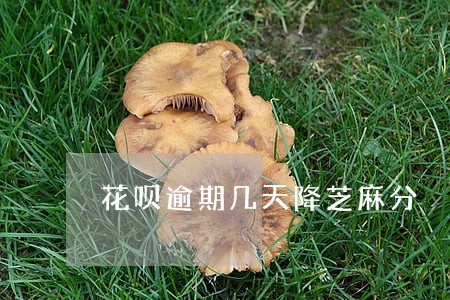 花呗逾期几天降芝麻分