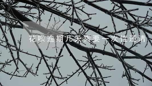 花呗逾期几天需要一次性还清 花呗逾期几天需要一次性还清