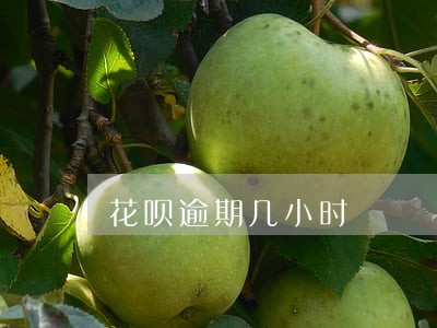 花呗逾期几小时 花呗逾期几小时