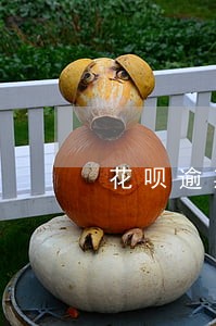 花呗逾期几年上征信多久取消 花呗逾期几年上征信多久取消