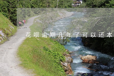 花呗逾期几年了可以还本金吗 花呗逾期几年了可以还本金吗