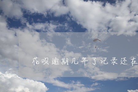 花呗逾期几年了记录还在 花呗逾期几年了记录还在