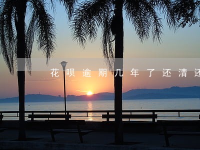 花呗逾期几年了还清还可以用吗 花呗逾期几年了还清还可以用吗