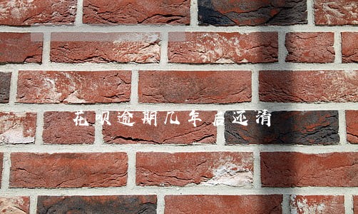 花呗逾期几年后还清 花呗逾期几年后还清