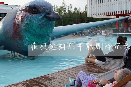 花呗逾期几年能删除记录