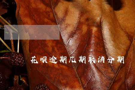 花呗逾期几期取消分期