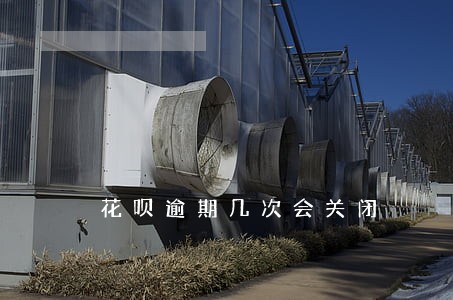 花呗逾期几次会关闭 花呗逾期几次会关闭