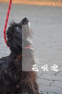 花呗逾期几次被关闭 花呗逾期几次被关闭