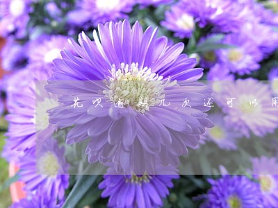 花呗逾期几次还可以用来支付吗 花呗逾期几次还可以用来支付吗