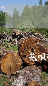 花呗逾期几点扣芝麻分 花呗逾期几点扣芝麻分