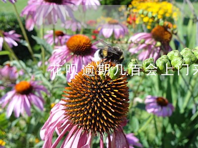 花呗逾期几百会上门来讨债吗 花呗逾期几百会上门来讨债吗