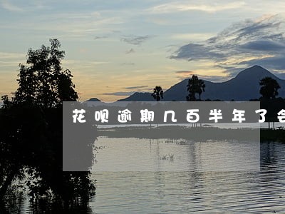 花呗逾期几百半年了会上征信吗 花呗逾期几百半年了会上征信吗