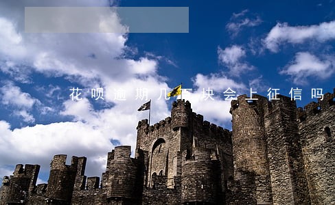 花呗逾期几百块会上征信吗
