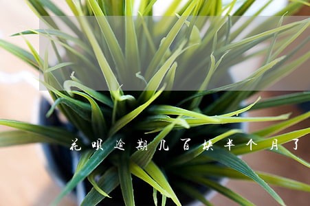 花呗逾期几百块半个月了 花呗逾期几百块半个月了