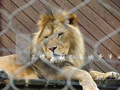 花呗逾期几百块多年如何解决 花呗逾期几百块多年如何解决