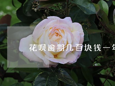 花呗逾期几百块钱一年会怎么样 花呗逾期几百块钱一年会怎么样