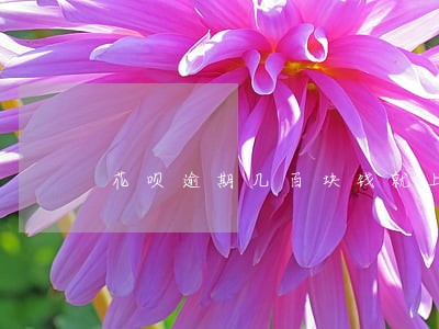 花呗逾期几百块钱就上黑名单 花呗逾期几百块钱就上黑名单