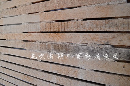 花呗逾期几百能消除吗 花呗逾期几百能消除吗