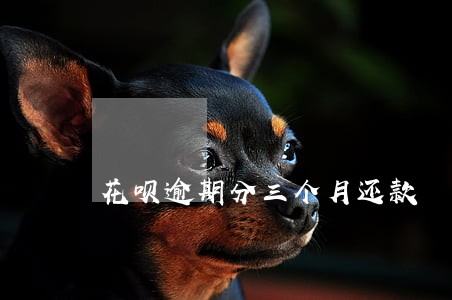 花呗逾期分三个月还款 花呗逾期分三个月还款