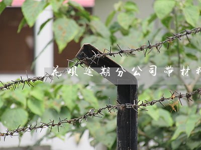 花呗逾期分公司带材料上门结清