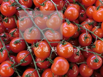 花呗逾期分期买车
