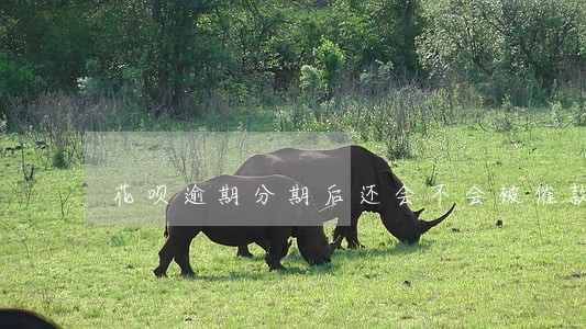 花呗逾期分期后还会不会被催款 花呗逾期分期后还会不会被催款