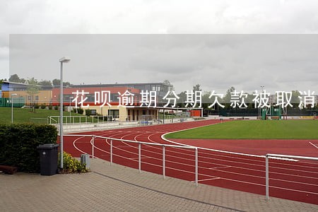 花呗逾期分期欠款被取消 花呗逾期分期欠款被取消