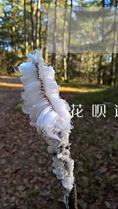 花呗逾期分期申请还款期限