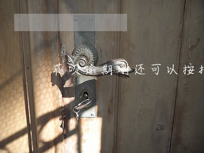 花呗逾期刚还可以按揭手机吗