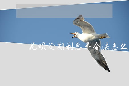 花呗逾期利息不合法怎么办 花呗逾期利息不合法怎么办