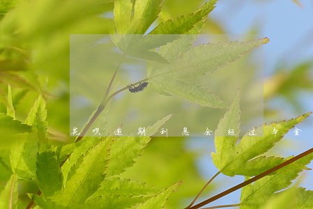 花呗逾期利息会超过本金吗 花呗逾期利息会超过本金吗