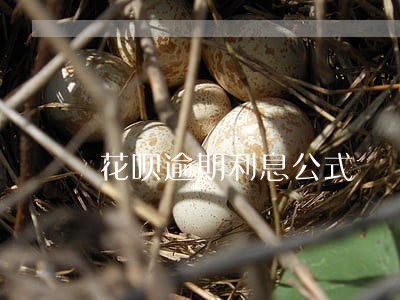 花呗逾期利息公式 花呗逾期利息公式