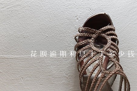 花呗逾期利息十天多少钱 花呗逾期利息十天多少钱