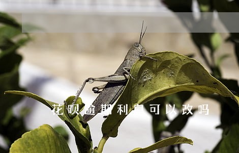 花呗逾期利息可以改吗 花呗逾期利息可以改吗