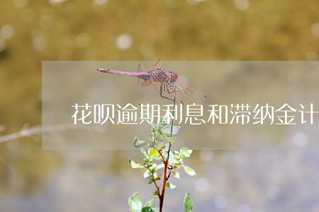 花呗逾期利息和滞纳金计算公式