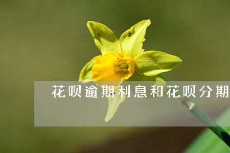 花呗逾期利息和花呗分期利息
