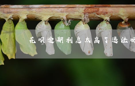 花呗逾期利息太高了违法吗