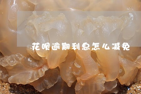 花呗逾期利息怎么减免
