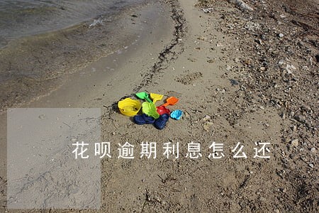 花呗逾期利息怎么还 花呗逾期利息怎么还