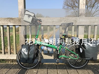 花呗逾期利息按月还是按天计算