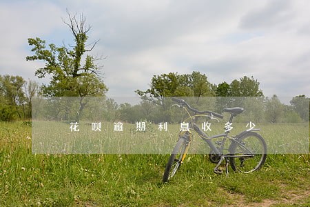 花呗逾期利息收多少