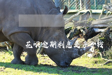 花呗逾期利息是多少钱