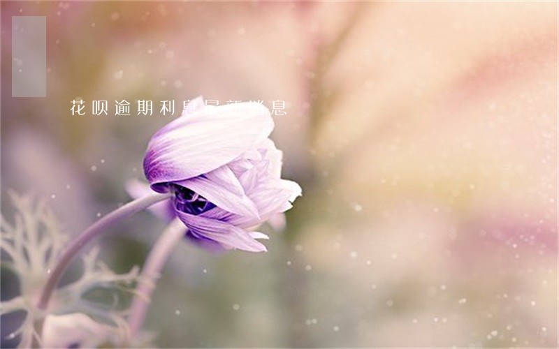 花呗逾期利息最新消息