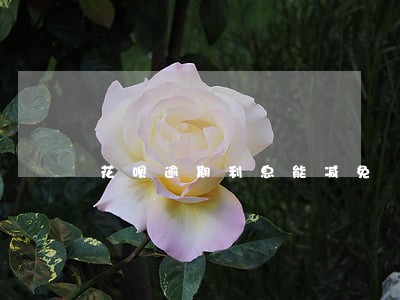 花呗逾期利息能减免