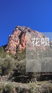 花呗逾期利息能减免么