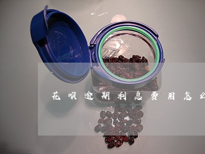 花呗逾期利息费用怎么算
