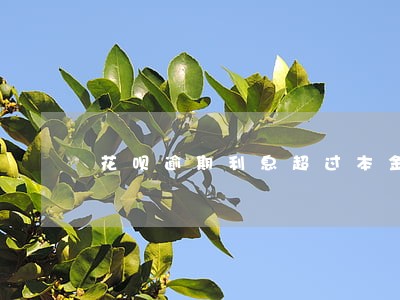 花呗逾期利息超过本金