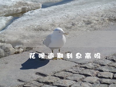 花呗逾期利息高吗