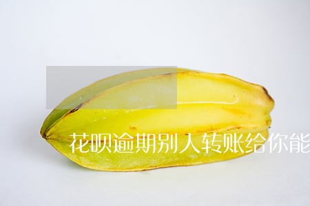 花呗逾期别人转账给你能收到吗