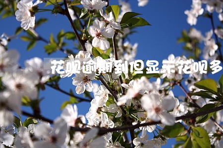 花呗逾期到但显示花呗多少钱 花呗逾期到但显示花呗多少钱